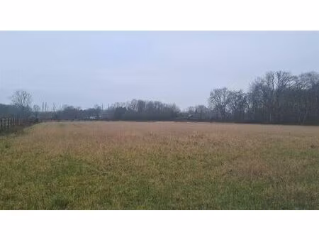 grond te koop in schriek