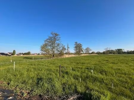 terrain à vendre à beerse € 38.000 (l8hvg) - era noord (beerse) | zimmo