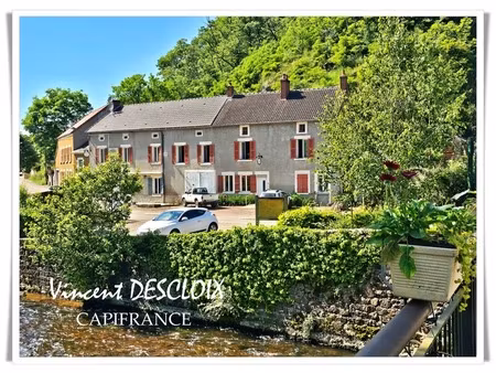dpt nièvre (58)  à vendre montreuillon maison p10
