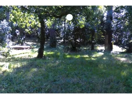 annonce terrain à vendre