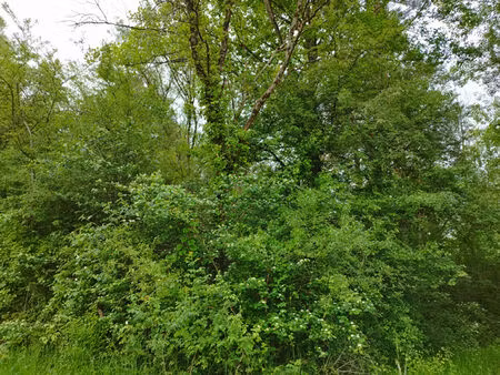 terrain selles-sur-cher 22130 m2