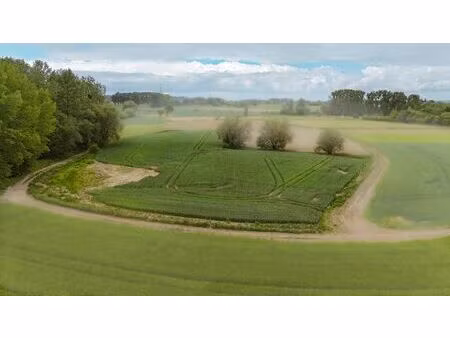 terrain agricole à vendre à bekkersveld - beschermsveld sint-pieters-leeuw (rbt39335)