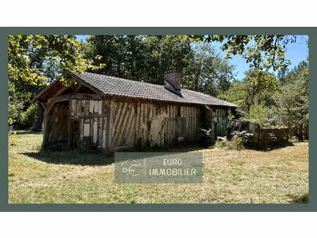 vente maison 3 pièces 72 m² bourriot-bergonce (40120)