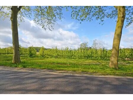 grond te koop in hasselt