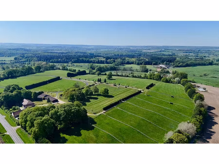 vente maison 14 pièces 361 m² à forges-les-eaux (76440)  900 000 €