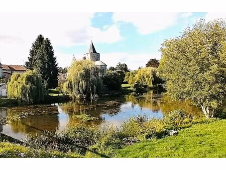 vente ancienne maison de maitre avec appartements et dependances en exclusivite