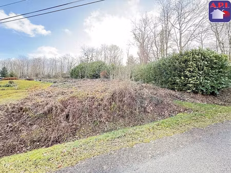 vente terrain à rimont (09420)  35 000 €