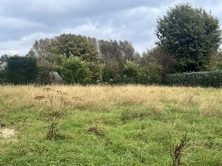 vente terrain 1000 m² à wannehain (59830)  290 000 €