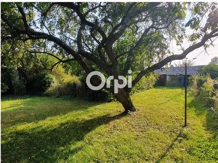 vente terrain à batir 800 m² à mons-en-pévèle (59246)  185 000 €