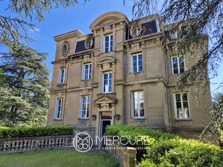 achat maison 12 pièces 440m² orlienas 69530