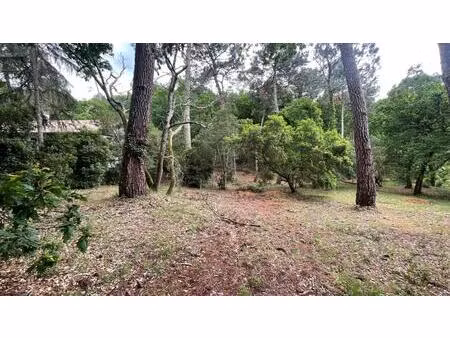vente terrain 1050 m² arcachon (33120)