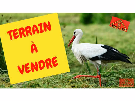 vente terrain 787 m² berentzwiller (68130)