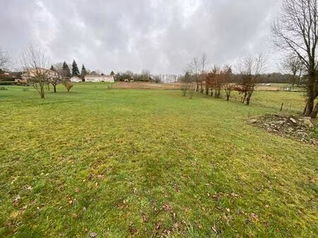 vente terrain 3286 m² feytiat (87220)