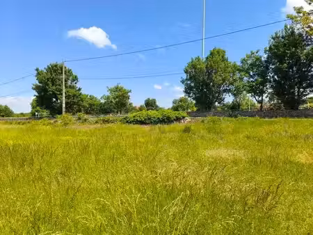 vente terrain 2420 m² à assier (46320)  37 000 €