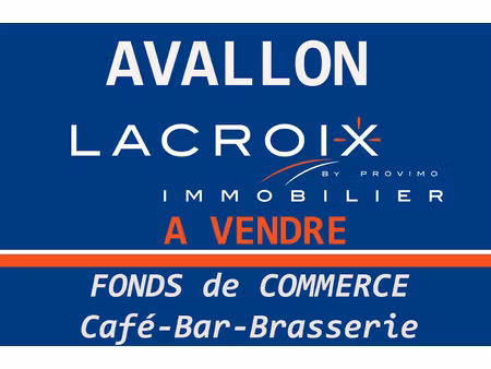 vente locaux professionnels 165 m² à avallon (89200)  176 000 €