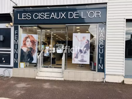 vente locaux professionnels 80 m² à touques (14800)  110 500 €