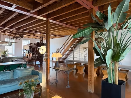 magnifique maison bourgeoise au cœur de beaune (21)