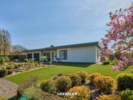 maison à vendre à lommel € 575.000 (l8l2l) - geebelen vastgoed | zimmo