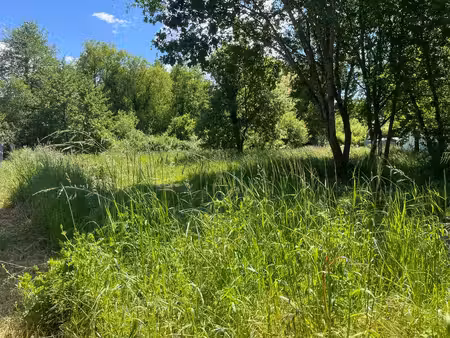 vente terrain 743 m² la tremblade (17390)