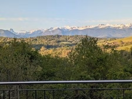 maison de luxe de 7 pièces en vente à gelos  france