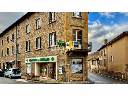 location commerce 74 m² à châtillon (69380)