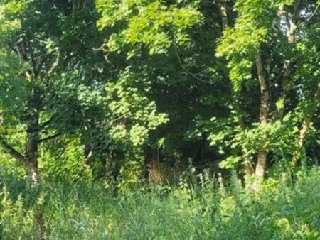 terrain à champigny