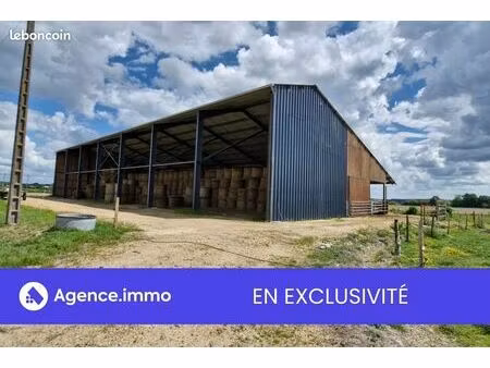 local 1270 m² souvigné