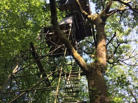 forêt de 5984 m² à urcuit