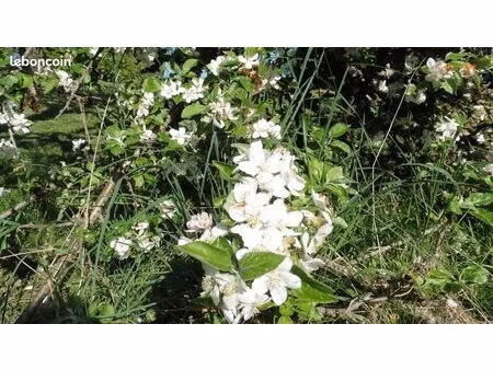 terrain 1028 m² saône