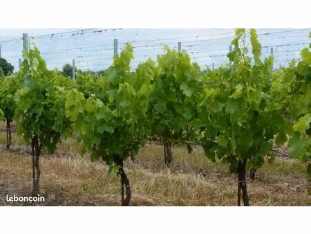 recherche terrain agricole