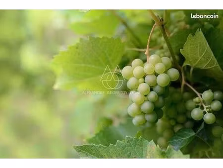 terrain agricole 600 m²