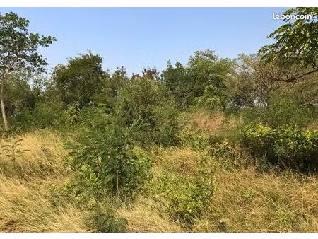 terrain 1549 m² ortaffa