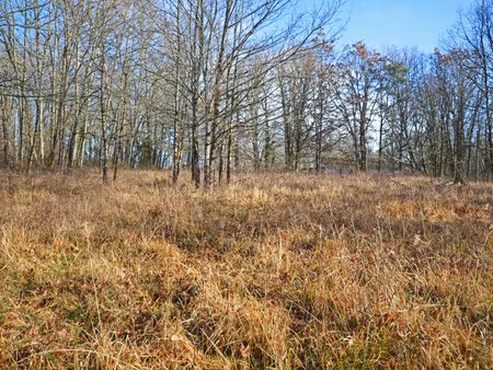 terrain à vendre à tourtoirac (24390) - dordogne