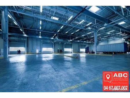 local d'activité 440 m²