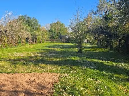 vente de terrain à st michel le cloucq 85