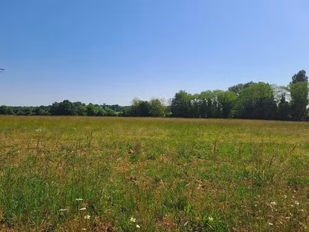 vente terrain 2561 m² à saint-germain-du-seudre (17240)  49 275 €