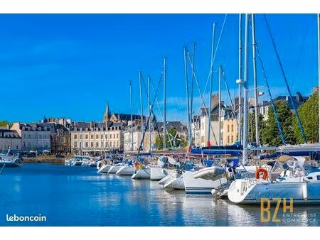 murs commerciaux 112 m² vannes