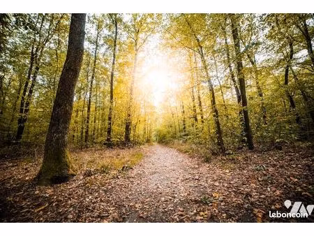 terrain 8422 m² montigny sur loing