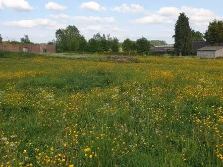 terrain 1177 m² montreuil en caux