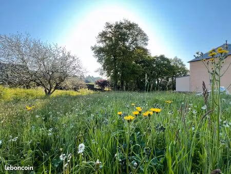 terrain constructible 514 m2 - hors lotissement - centre bourg - plein sud - arboré