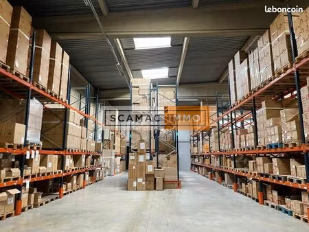 local industriel 965 m²