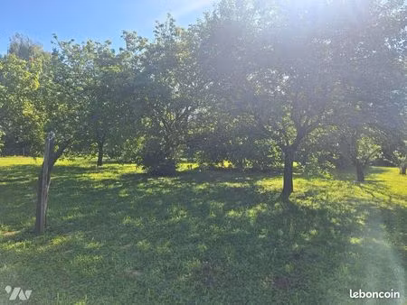 terrain 638 m² savigne l eveque