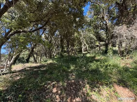 terrain 1144 m² la croix-valmer