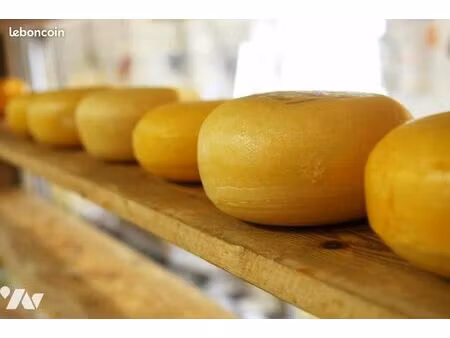 local d'activités orvault