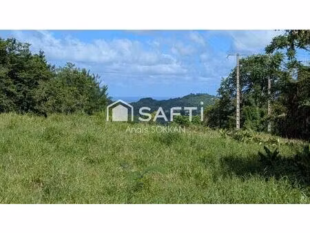 terrain plat avec vue mer