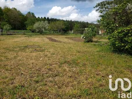 vente terrain à montfort-le-gesnois (72450) : à vendre / 1316m² montfort-le-gesnois