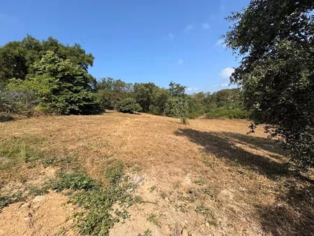 terrain 1700 m2 ghisonaccia 108 000 eur