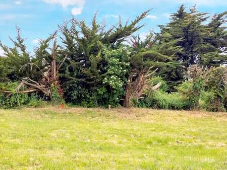 vente terrain à saint-jean-de-monts (85160) : à vendre / saint-jean-de-monts