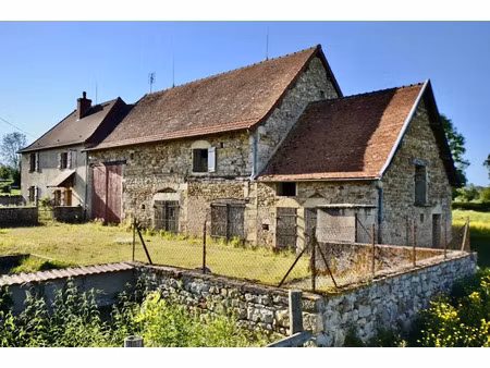 vente maison 7 pièces 161 m² à saint-christophe-en-brionnais (71800)  180 000 €