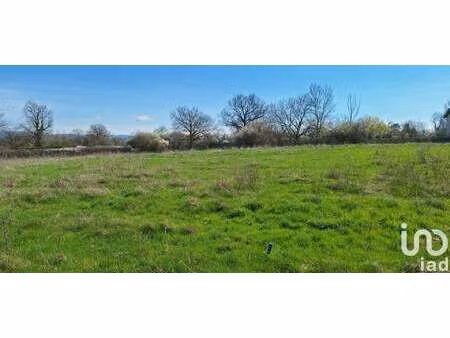 vente terrain à mizérieux (42110) : à vendre / 934m² mizérieux